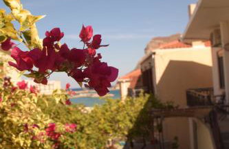 Myron & Gabby's House - Photo 19