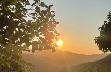 Bosco Stellato - Foto 24