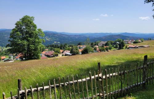 Mitterdorf - apartmán Almberg - Foto 25