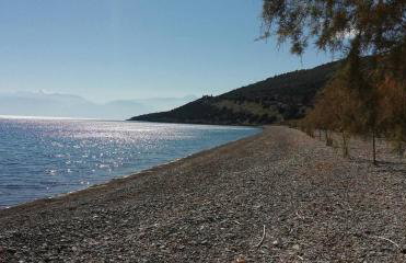 Cozy Apollon Villa, Sea View, Next To Galaxidi - Photo 41