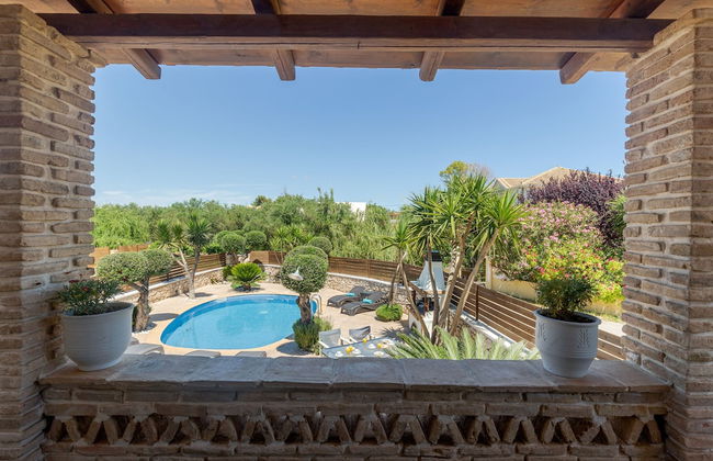 Tierra Olivo - Foto 69