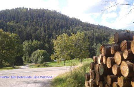 Alte Schmiede - Foto 26