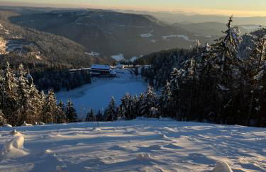 Ferienwohnung Schwarzwaldblick - Foto 13