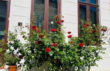 Zentrales und sehr ruhiges Apartment im beliebtesten Bremer Viertel - Foto 1