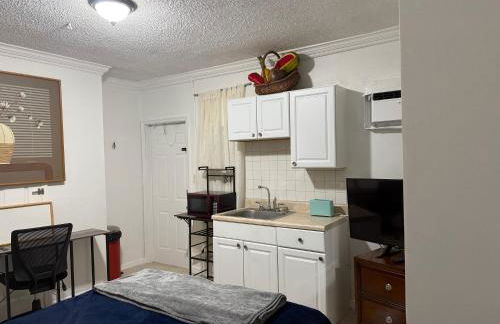 My Garden in Miami Florida - Photo 9