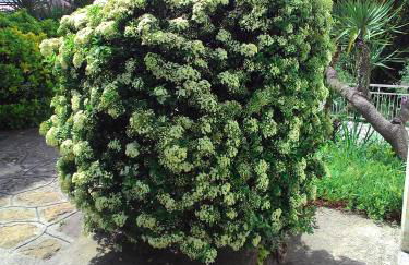 Residence La Carruba - Foto 80