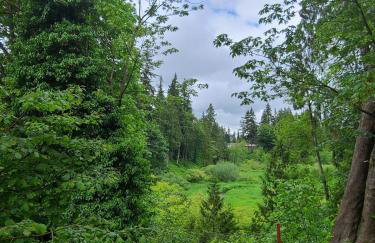 PNW Creekside Escape Relax, Unwind, Explore - Foto 27