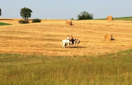 Wohnung in Landhaus mit Resort-Adults only - Foto 31