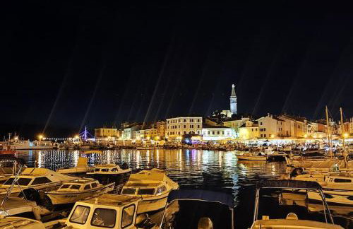 Apartment Nilema Rovinj - Photo 43