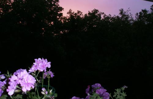 A Casa di Stella - Foto 20