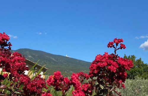 Gîte des Pape - Foto 11