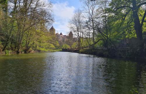 Le Moulin de l'O-L'Orle Nature formule 4 personnes - Foto 40