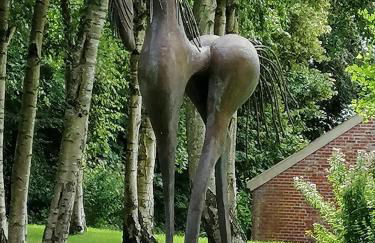 Kapitänsliebe - Foto 24