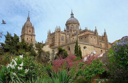 Apartamentos Salamanca Puerta Zamora, Centro, Wifi con salón y 2 dormitorios, Parking - Photo 43