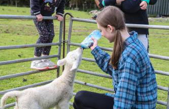 GlenHaven Holiday Accommodation - Foto 34