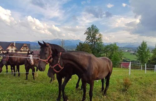 Apartament Góralski - Foto 11