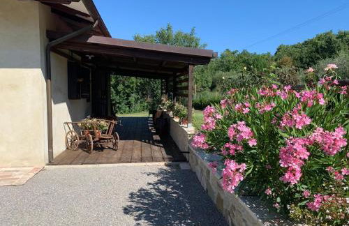 Podere Battegone - Foto 10