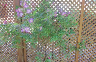 Le Mas des Restanques - Foto 39