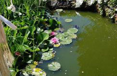 Ferienwohnung 3,2 km von Saarloius entfernt mit Terrasse und Garten - Foto 26