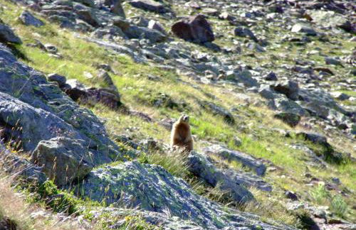 Baita Mas Sora Sass - Foto 31