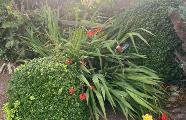 Spelga View - Foto 9