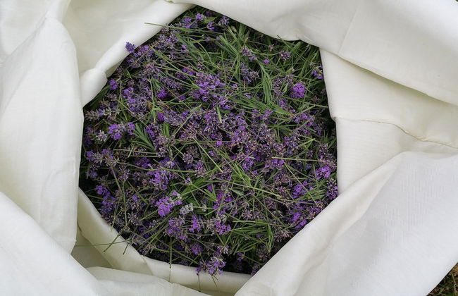 Charles Reuben Estate - Foto 30