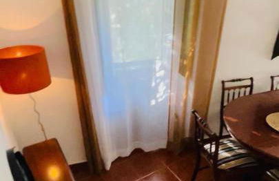 Santuário SOS Animal - Foto 59