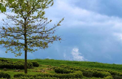 Family-friendly Forest Home - Foto 61