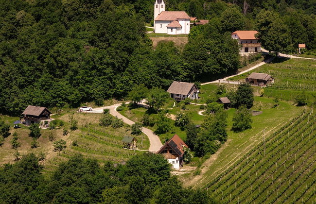 Vineyard cottage Škatlar 3 - Foto 29