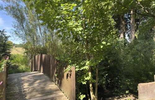 Gruppenhaus in Buntenbock - Foto 10