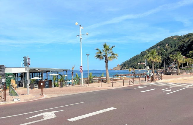 3 BEDR APPARTMENT BEACH ACCES THEOULE - Foto 20