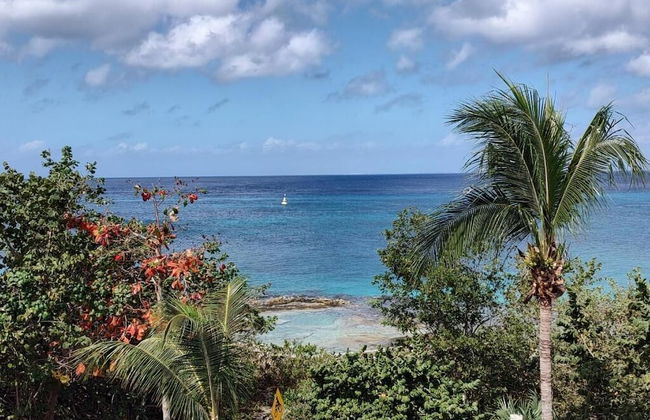 Great Condo in Cozumel OCEAN FRONT D10 - Foto 12