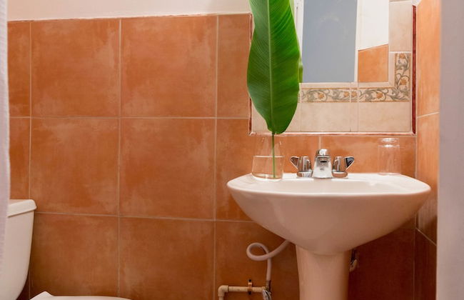 Renovated Apt.Walk to Marley Museum - Foto 24