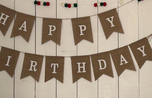 Cosy Devon Hut Woodland Views - Photo 70