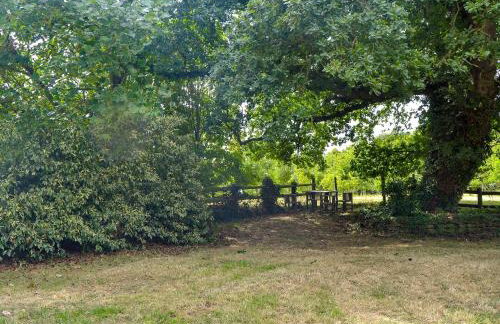 The Cider House - Foto 17