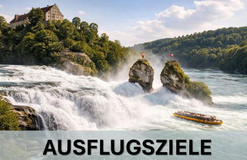 Exklusive LOFT-Wohnung, nur 30 Min von Zürich - Foto 38