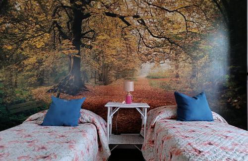 Giaveno, apartment "margherite" a pochi passi dal centro, wifi - Photo 36