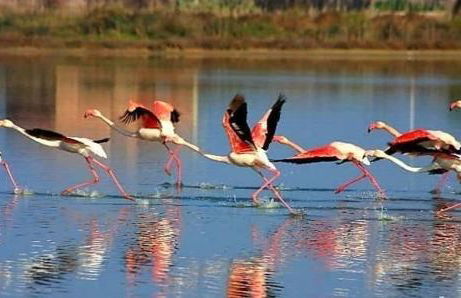 Apposentu Sant'Antioco - Foto 25