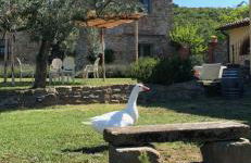 Agriturismo La Posta Reale - Foto 100