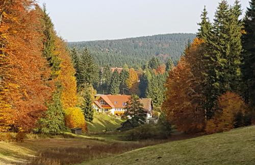 Ferienhaus am Rennsteig - Foto 19