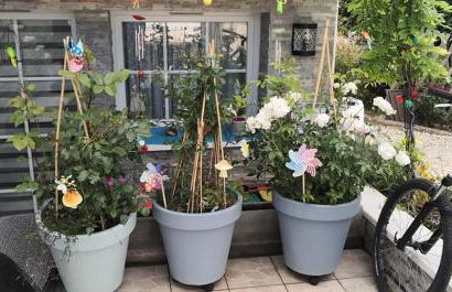 La Bulle Bleue Futuroscope - Foto 29