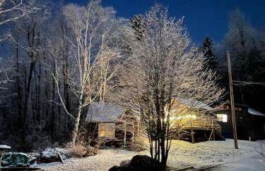 B10 NEW Awesome Tiny Home with AC Mountain Views Minutes to Skiing Hiking Attractions - Foto 7