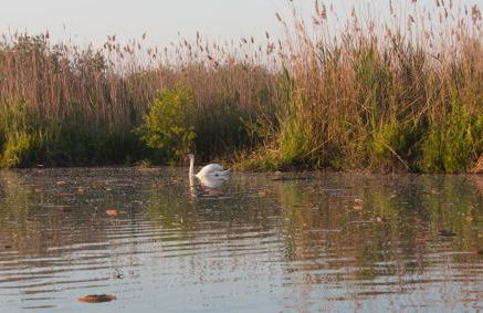 Il Gesuita - Foto 31