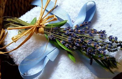 Quintinha do Sal - Casa das Flores - Foto 19