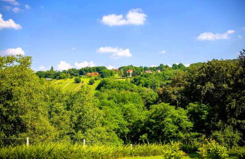 Adalia House Medimurje Private Wellness Nature View & Wine Region - Foto 22