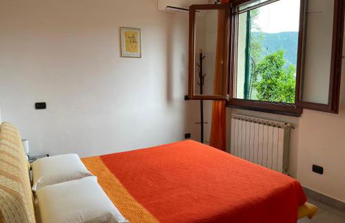 azienda agricola zulin casa elena - Foto 75