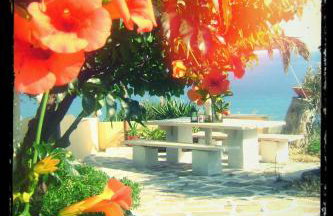 Villa Olga studios - Foto 11