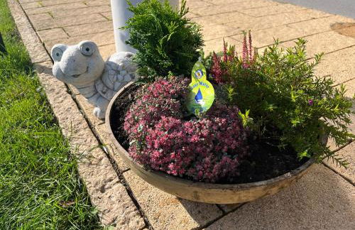 Apartment Vis-a-vis - Foto 23