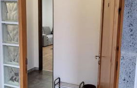 The Blue Hydrangea - Photo 10