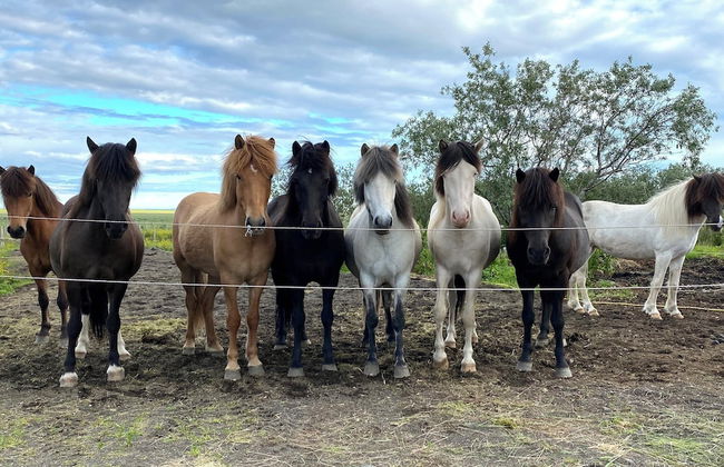 Askot Cottages - Foto 16